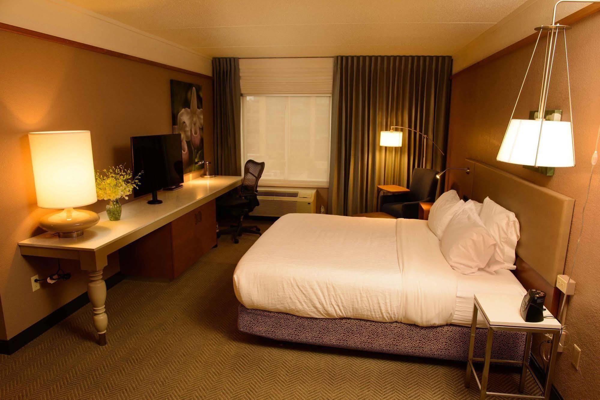 Hilton Garden Inn Rochester Downtown Exterior photo